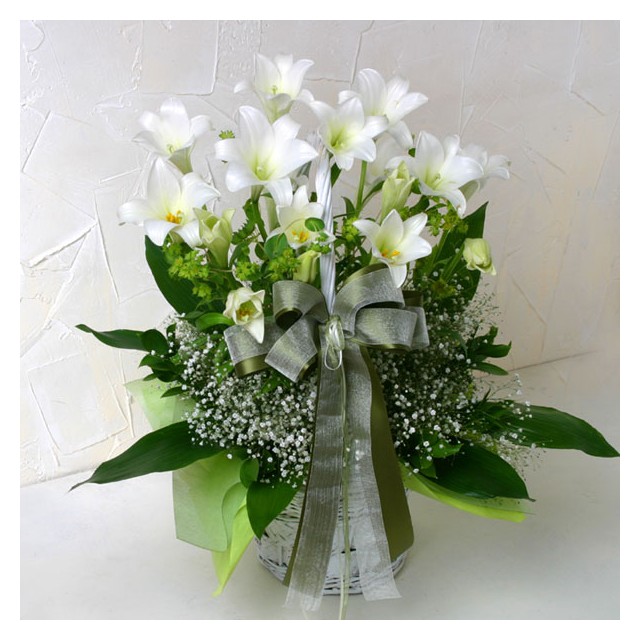 Peaceful White Lilies