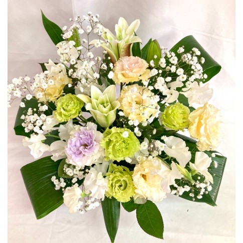 Phalaenopsis Orchid Condolence arrangement