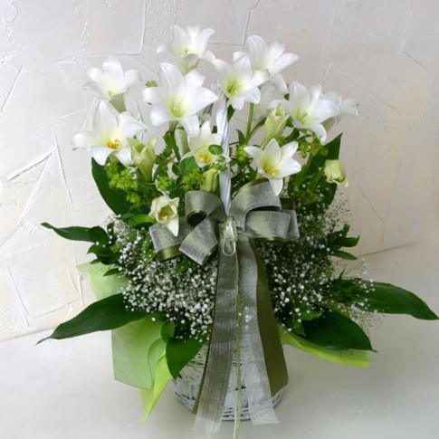 Peaceful White Lilies