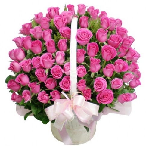 100 Pink Roses